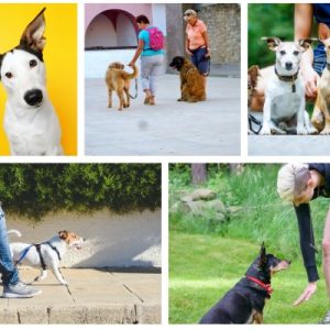 Bra vardag fortsättning, 28/4 2026