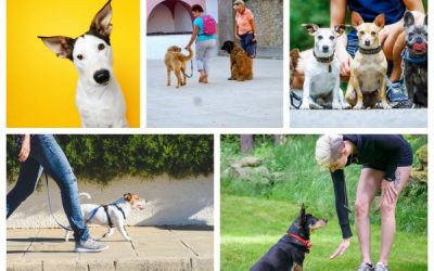 Bra vardag fortsättning, 28/4 2026