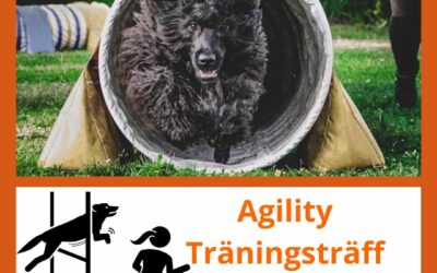 Midsommarhoppet – agility 19/6 – 3 platser kvar!