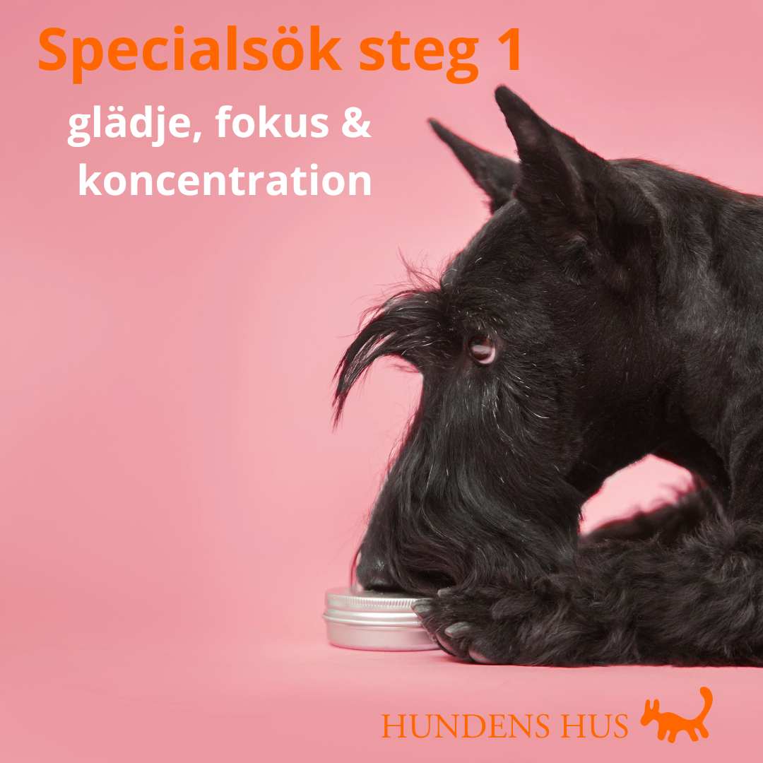 Specialsök 1, 4/11 2025 - FULLBOKAD!