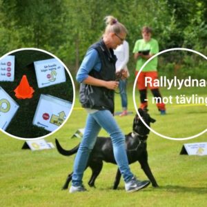 Rallylydnad mot tävling, 13/5 2026 Onsala/KBA - FULLBOKAD!