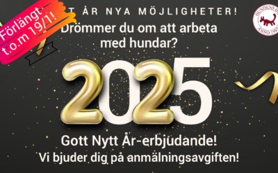 Vi bjuder på anmälningsavgiften!