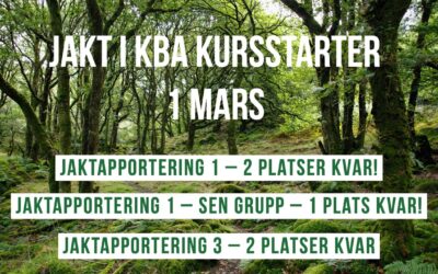 Gå en jaktkurs i Kungsbacka för Cathrine!