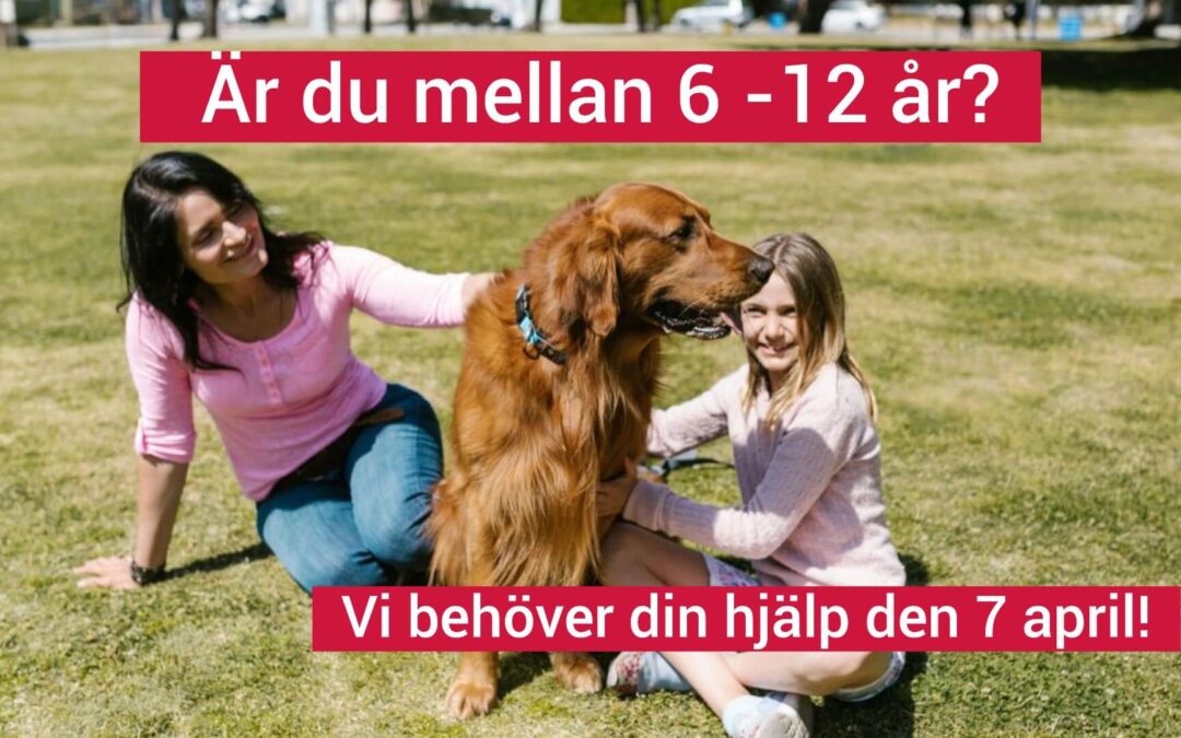 Kom och klappa och läs för hundar!