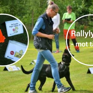 Rallylydnad mot tävling - fortsättningsklass, 21/10 2026 Onsala/KBA