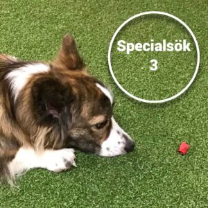 Specialsök 3, 29/10 2025 KBA - FULLBOKAD!