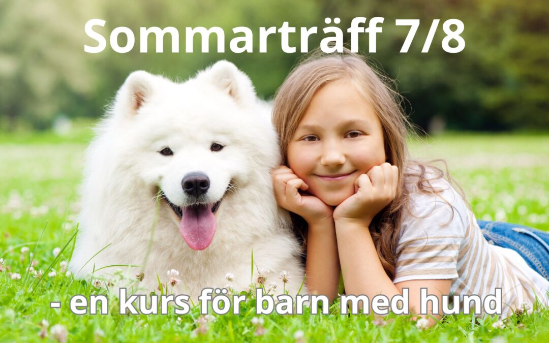 Sommarträff – kurs för barn med hund 7 augusti