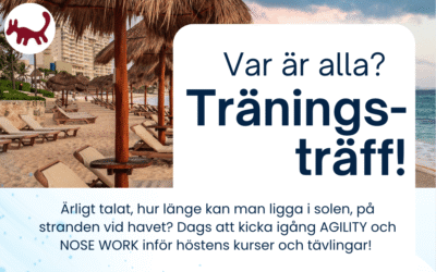 Kom i form med våra träningsträffar!
