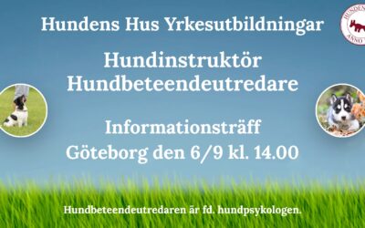Digital infoträff om Hundinstruktör och Hundbeteendeutredare