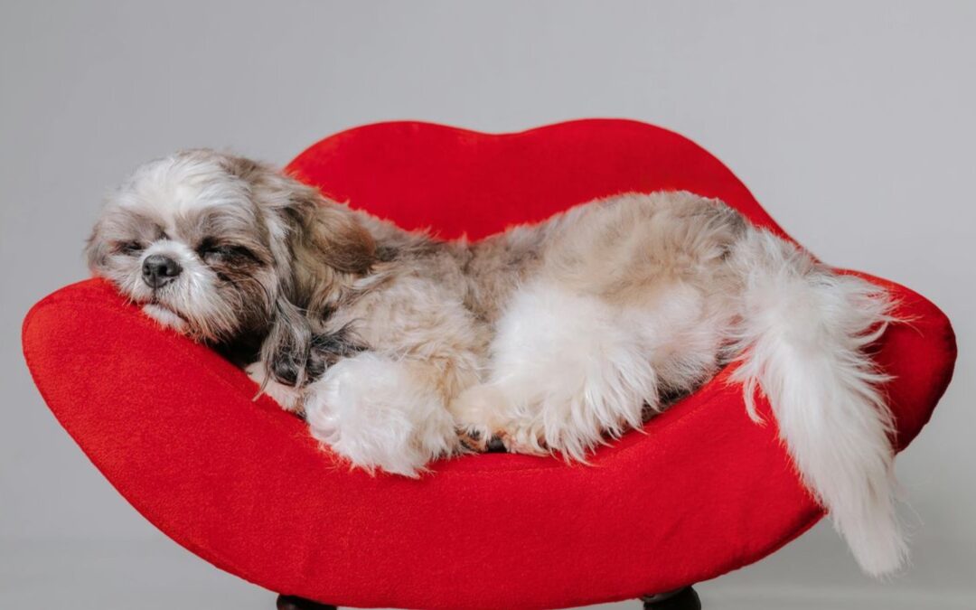 Fokus på aktivitet med ”ursprungskurser”