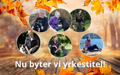Hundpsykolog blir Hundbeteendeutredare
