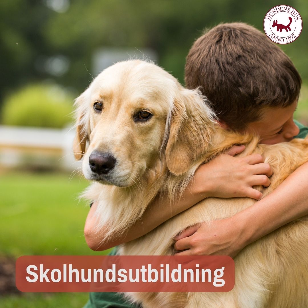 SkolhundsTeam start 8-9 /6 2026 - FULLBOKAD!