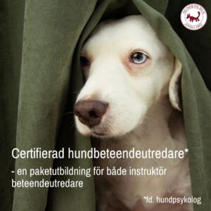Certifierad Hundbeteendeutredare start 1-2/8 2026