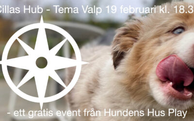 Cillas Hub – Tema Valp 19/2 Hundens Hus Play