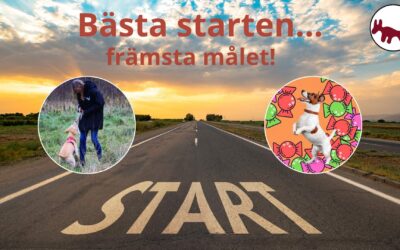 Bästa starten… främsta målet! Kursstarter 13/5 och 2/6