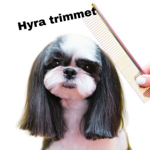 Hyra trimmet