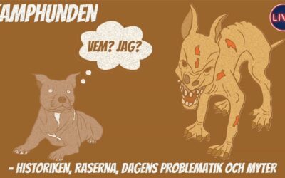 Kamphunden LIVE ONLINE på Hundens Hus Play 27 april