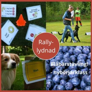 BLÅBÄRSTÄVLING Rallylydnad nybörjarklass, 5/8 2026 Onsala/KBA - 6 platser kvar!