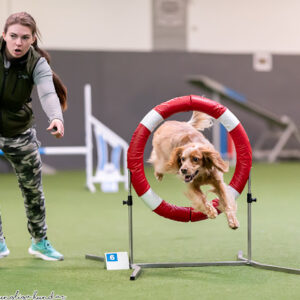 Agility 3, 24/5 2026 KBA / Onsala - 2 platser kvar!