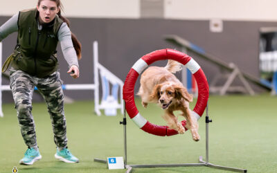 Agility – en hundsport för alla hundar!