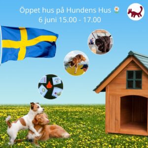 Öppet Hus på Hundens Hus, 6/6 2026