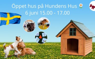 Välkommen på Öppet hus till Hundens Hus 6/6 🇸🇪