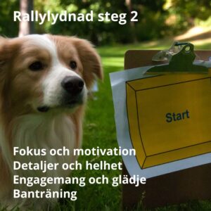 Rallylydnad 2, 27/8 2026 - 4 platser kvar!