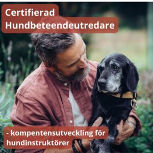Beteendeutredare, påbyggnad, start 12-14/12 2026