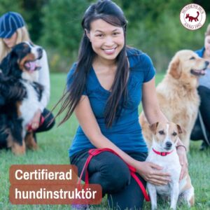 Certifierad Hundinstruktör start 1-2/8 2026