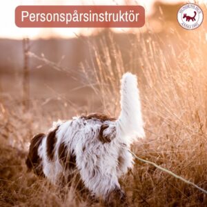 Personspårinstruktör, 2-4/9 2026 - 5 platser kvar!