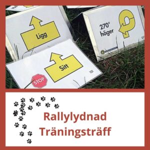 Träningsträff Rallylydnad - nybörjarklass, 11/8 2026 Onsala/KBA