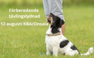För dig som vill lägga en bra grund med start den 12 augusti!