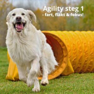 Agility 1, 15/10, 2026 Onsala/KBA - 4 platser kvar!